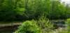 _103034_small.jpg