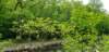 _103039_small.jpg