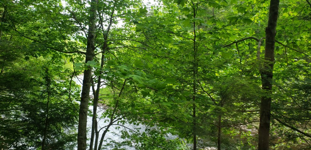 _103224.jpg