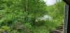 _103250_small.jpg