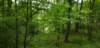 _104842_small.jpg