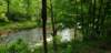 _104907_small.jpg