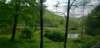 _105111_small.jpg