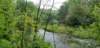 _105456_small.jpg