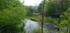 _105458_small.jpg
