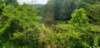 _105512_small.jpg