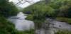 _110156_small.jpg