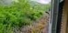_141654_small.jpg