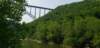 _162246_small.jpg