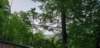 _163224_small.jpg