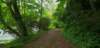 _170859_small.jpg
