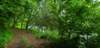 _171029_small.jpg