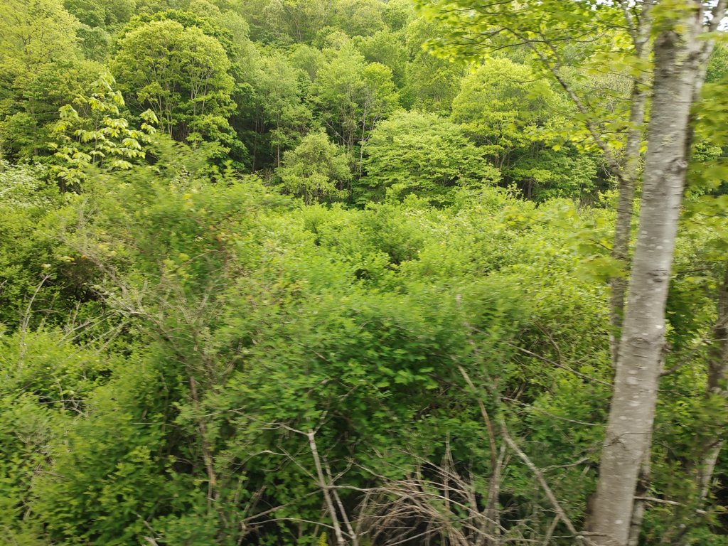 img_20230525_120122206.jpg