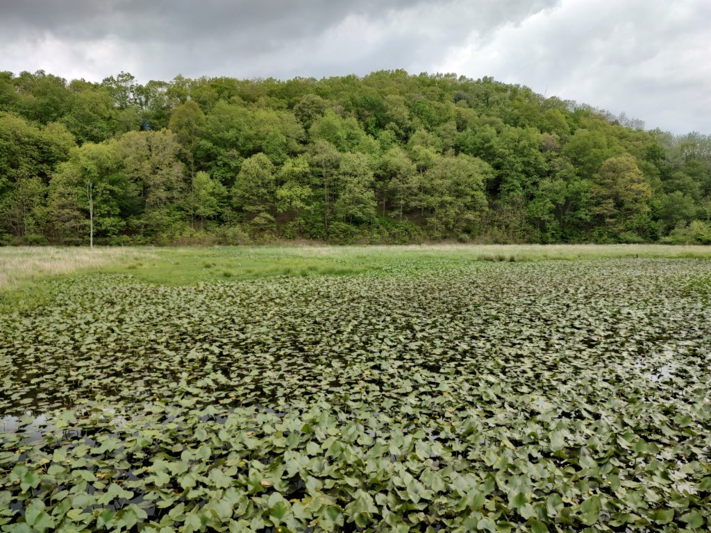 img_20230525_145304564_hdr.jpg