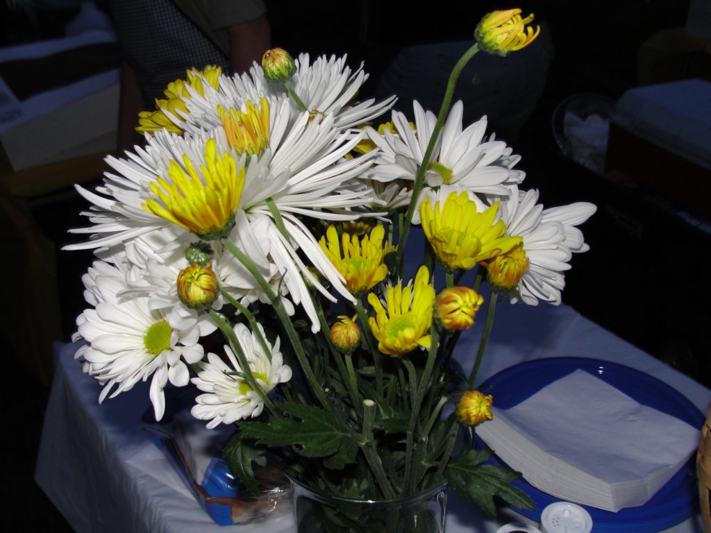 dsc00356.jpg