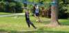 _135429_small.jpg
