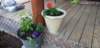 _070530_small.jpg