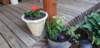 _070551_small.jpg