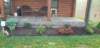 _071646_small.jpg