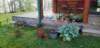 _073254_small.jpg