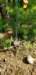 _092931_small.jpg