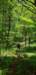 _113908_small.jpg