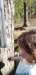 _171037_small.jpg