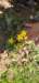 _171243_small.jpg