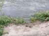 img_20200524_120418781_small.jpg