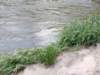 img_20200524_120420669_small.jpg