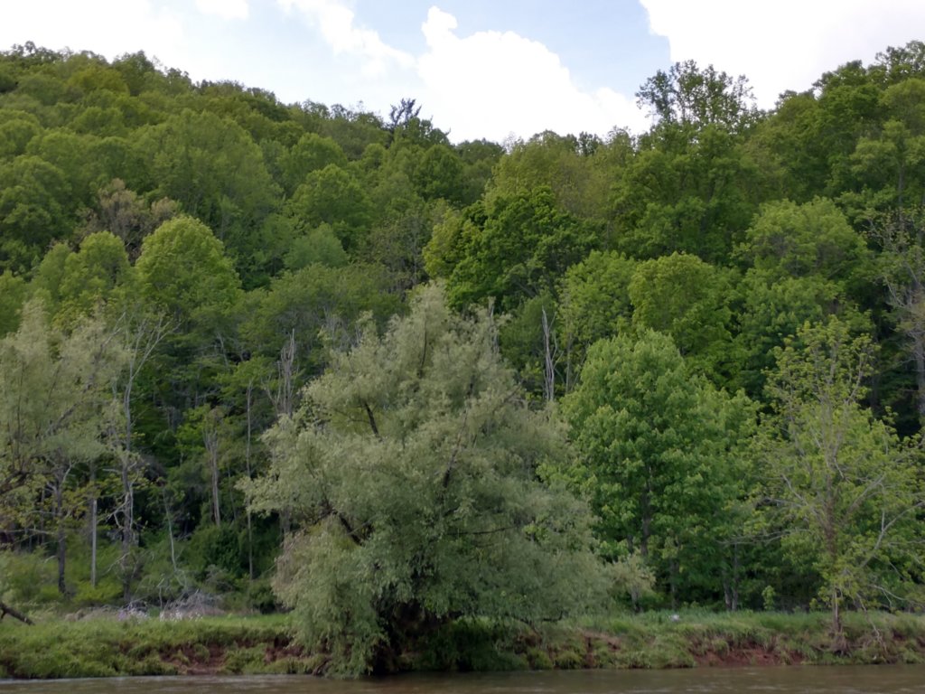 img_20200524_120429033_hdr.jpg