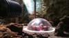 _130147_small.jpg