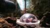 _130152_small.jpg