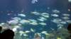 _131836_small.jpg