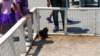 _135151_small.jpg