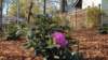 _095031_small.jpg