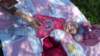 _123907_small.jpg