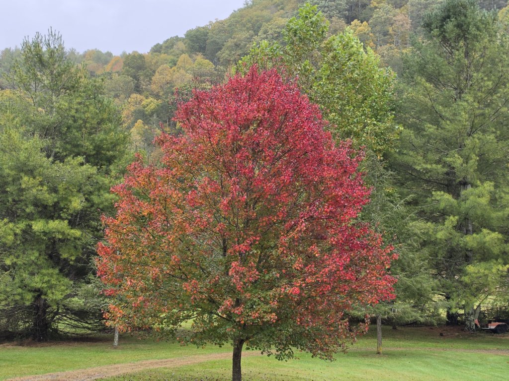 _152400.jpg