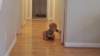 _151624_small.jpg