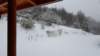 _090209_small.jpg