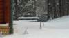 _112334_small.jpg