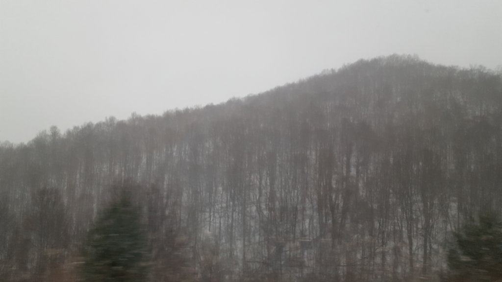 _170351.jpg