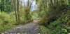 _115013_small.jpg