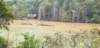 _144922_small.jpg