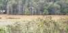 _144937_small.jpg
