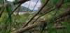 _145142_small.jpg