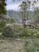 huffmanstore_92724_4_small.jpg