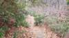 _153228_small.jpg