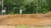 _125954_small.jpg