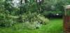 _064610_small.jpg